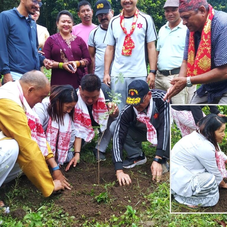 अर्जुनधारामा पशुपंक्षी बास बगैंचाकालागि वृक्षारोपण