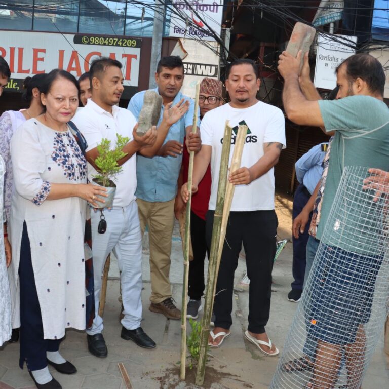 बिर्तामोडमा ४ सय विरुवा रोपियो