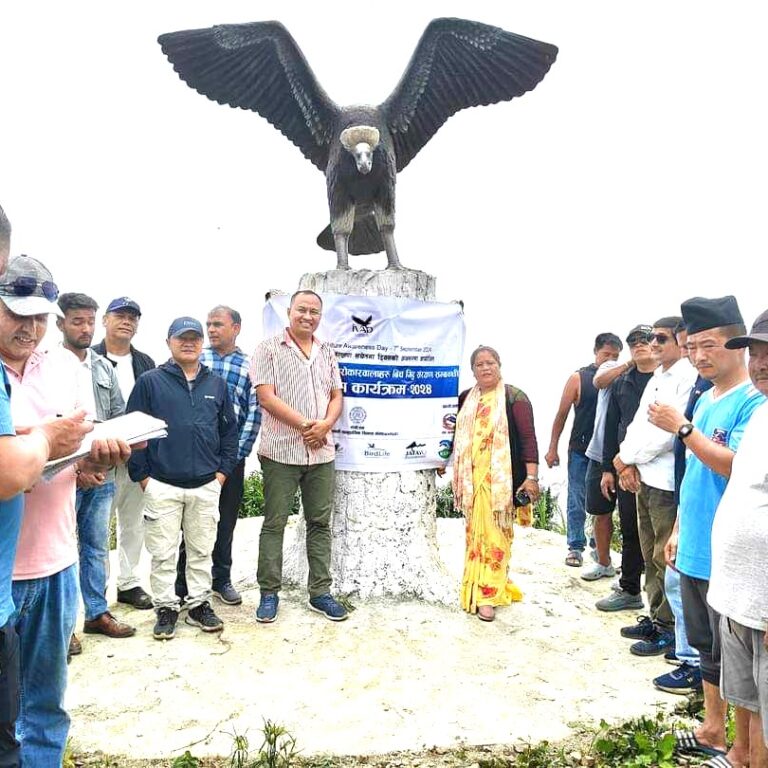 रोङमा गिद्धको प्रतिमा