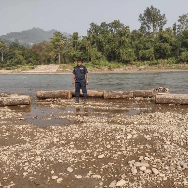 तस्करले खोलामा बगाएर ल्याएको काठ प्रहरीद्वारा बरामद