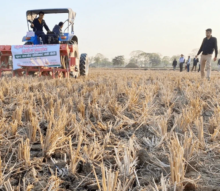 झापामा शून्य खनजोत प्रविधिबाट मकैखेती